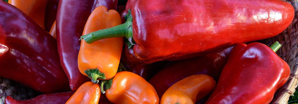Paprika – Furti's Hofladen
